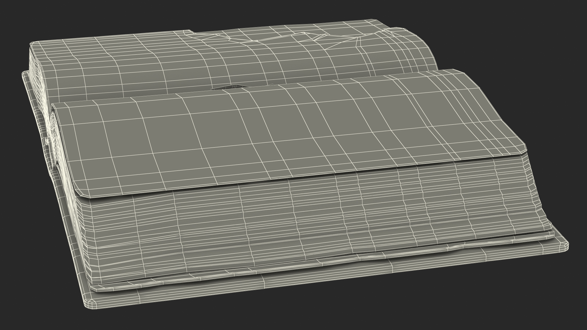 Old Open Clean Book 3D model