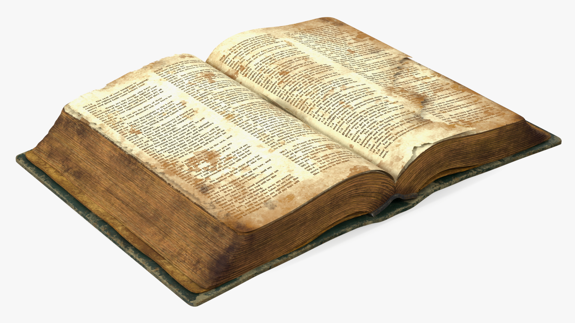 Old Open Clean Book 3D model