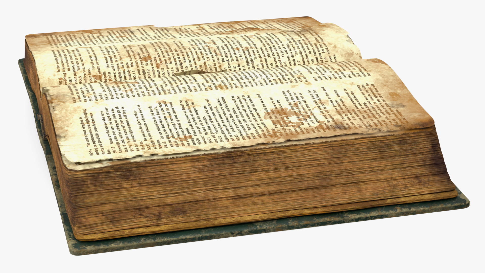 Old Open Clean Book 3D model