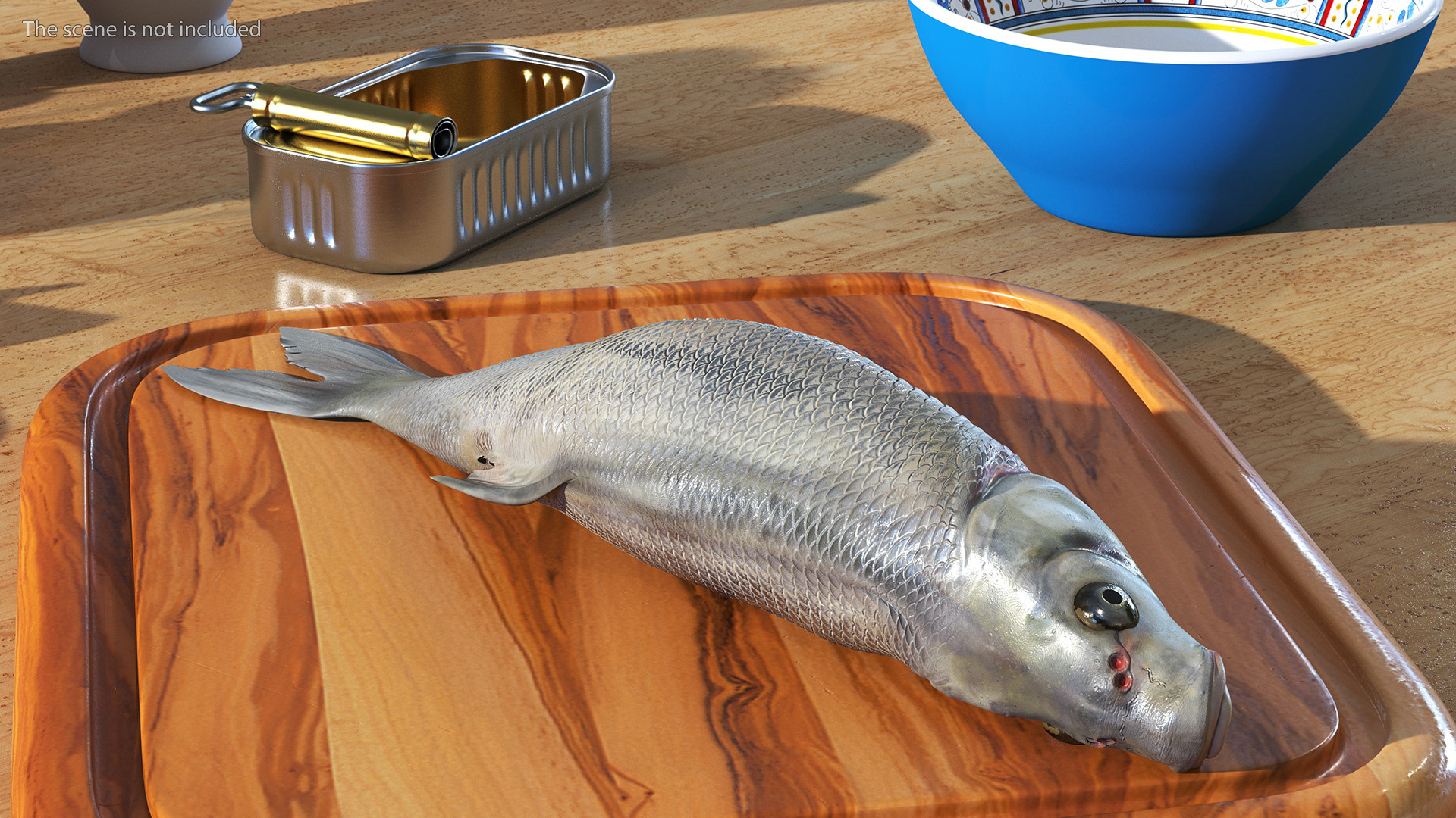 3D Fresh Caught Lying Silver Bream Fish