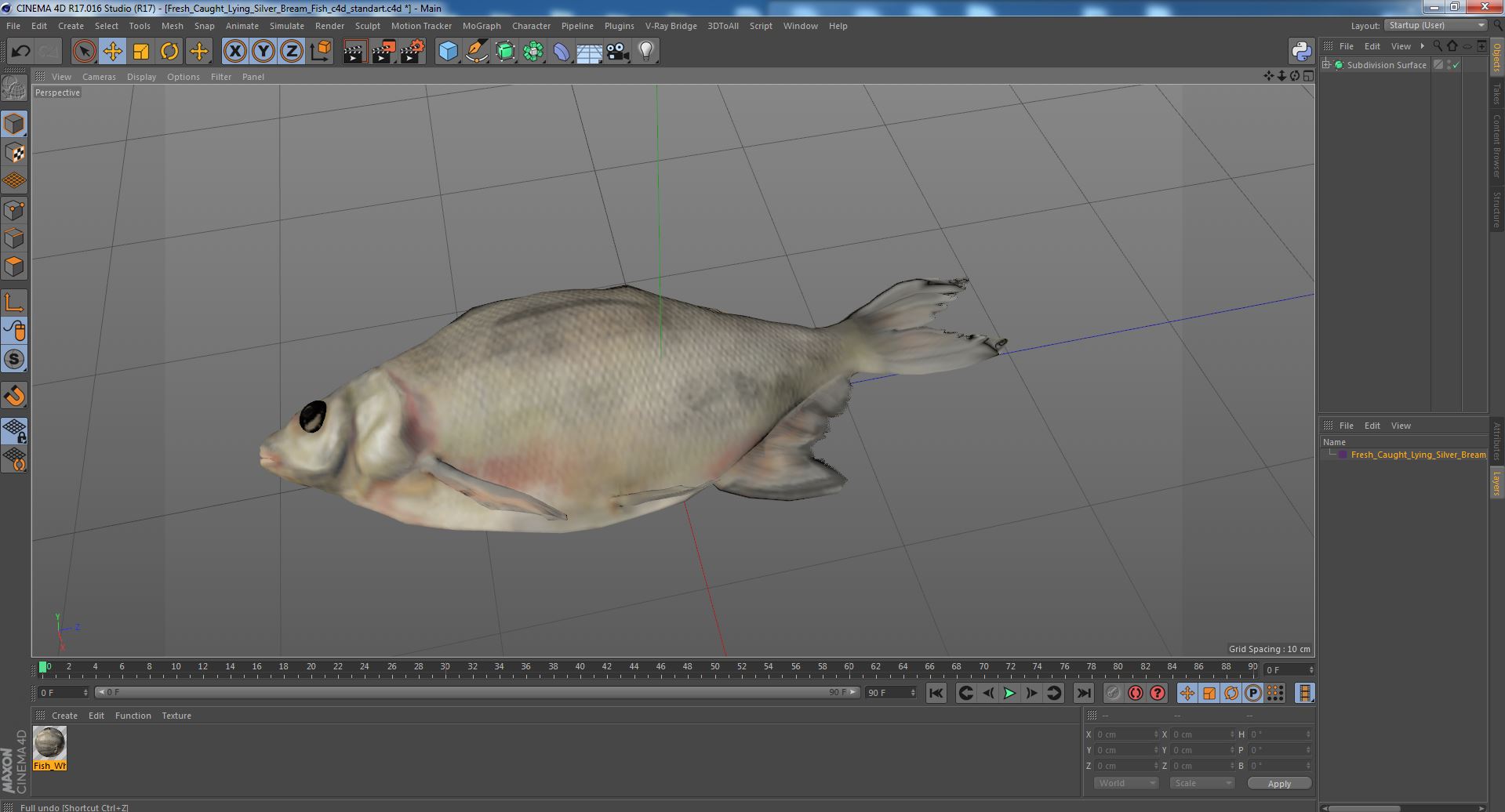 3D Fresh Caught Lying Silver Bream Fish