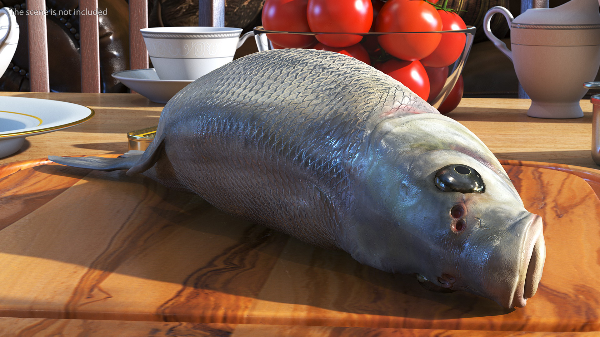 3D Fresh Caught Lying Silver Bream Fish