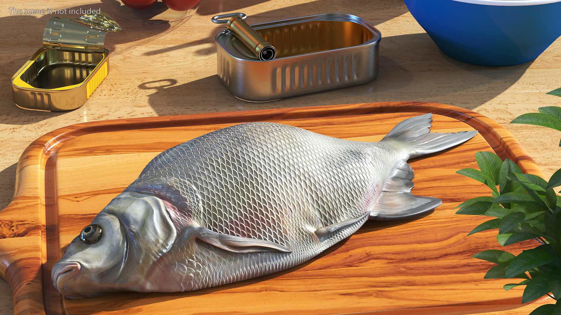 3D Fresh Caught Lying Silver Bream Fish