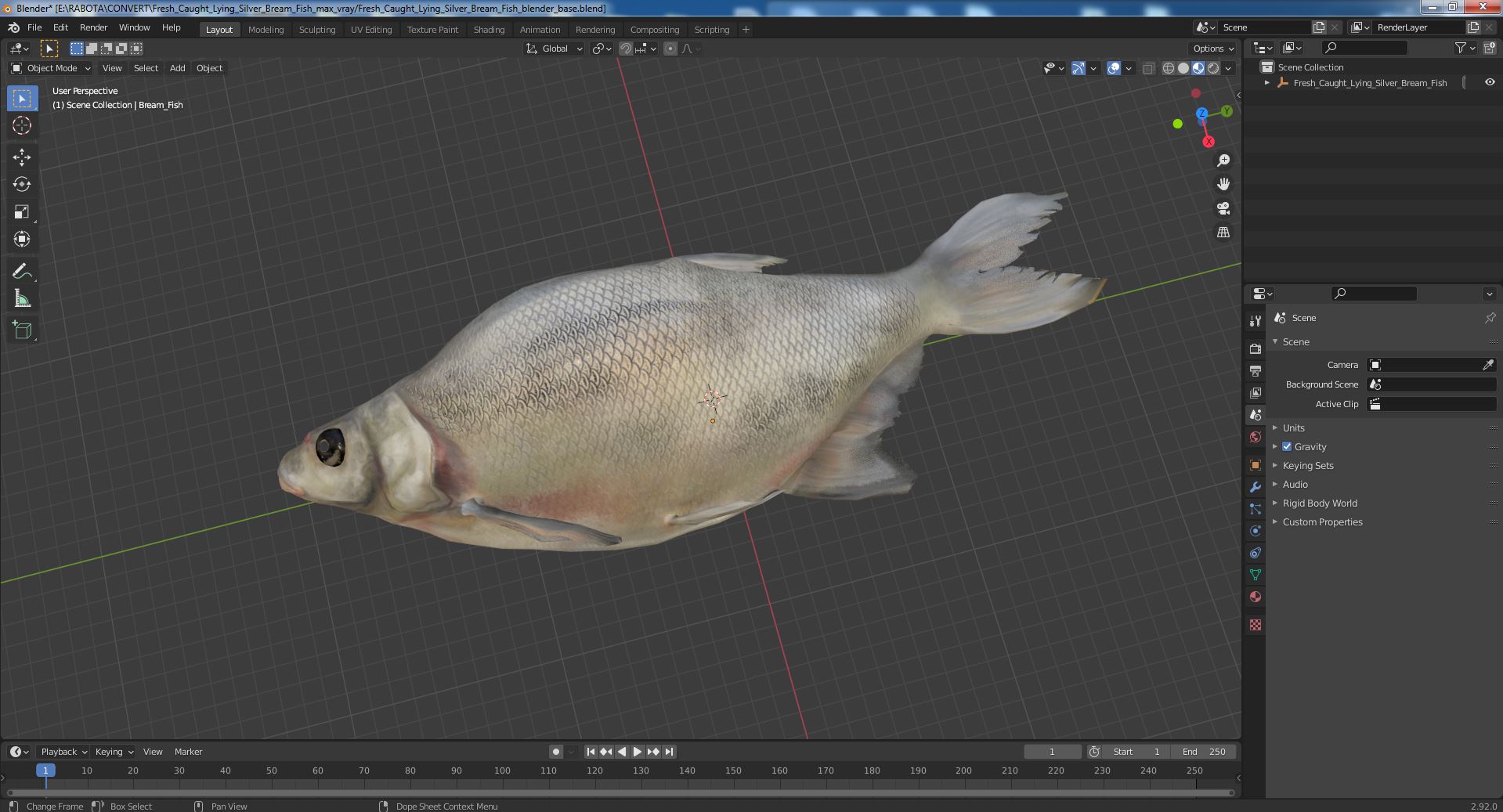 3D Fresh Caught Lying Silver Bream Fish