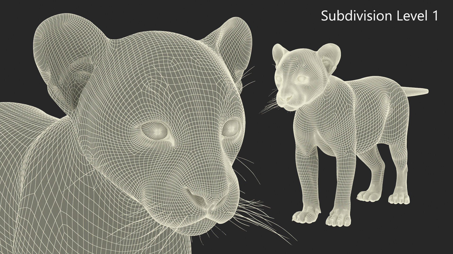 3D Panther Cub