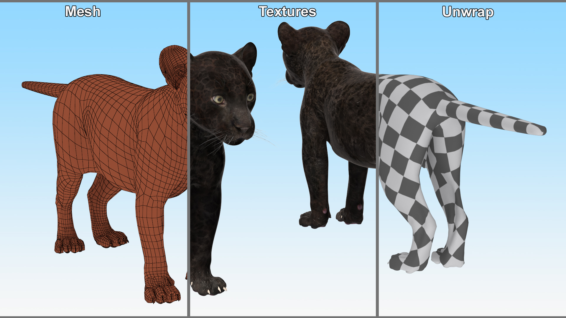 3D Panther Cub