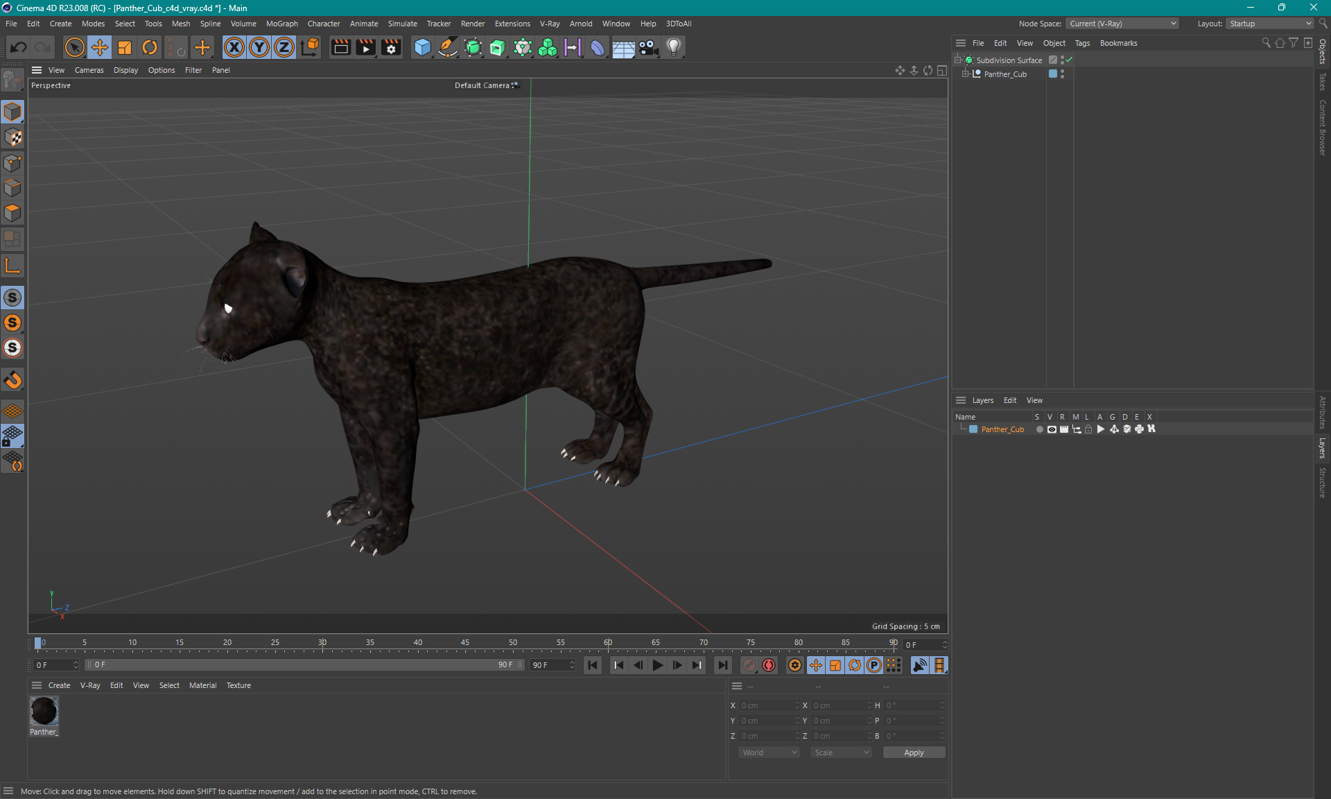 3D Panther Cub