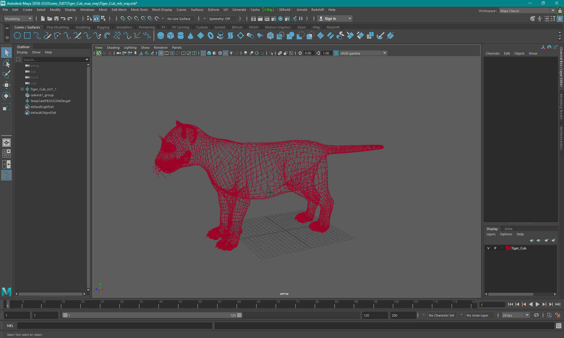 3D Panther Cub