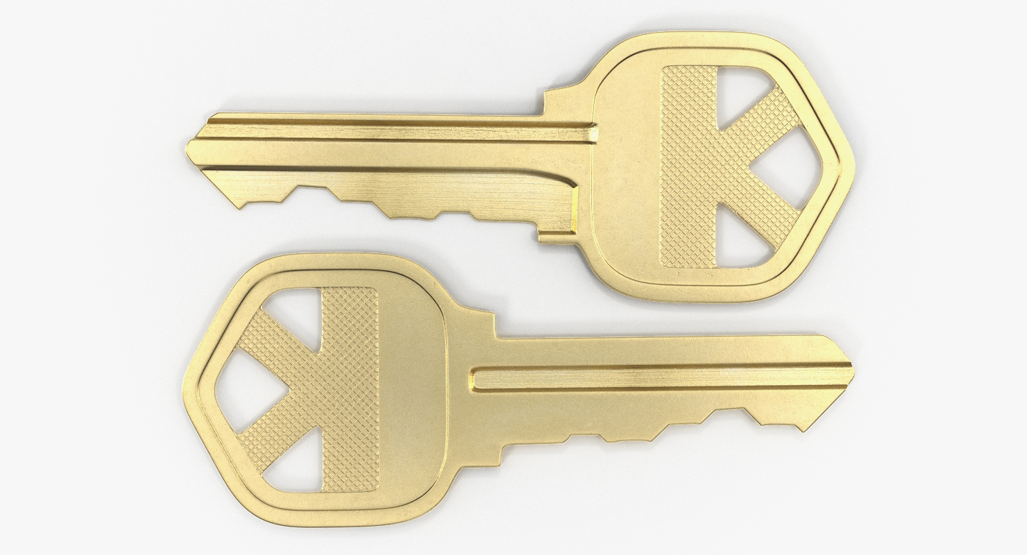 3D Bronse House Key