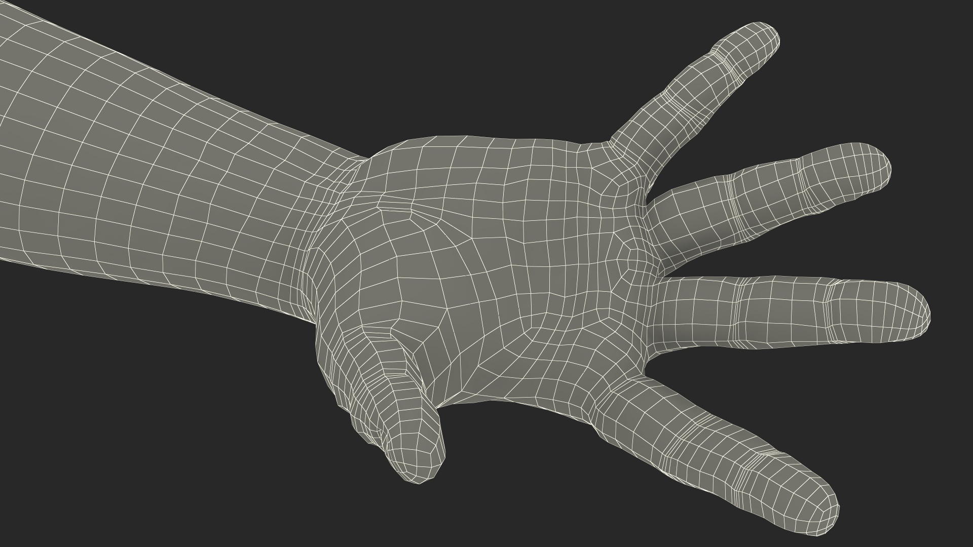 3D Hairy Human Male Hands Fur