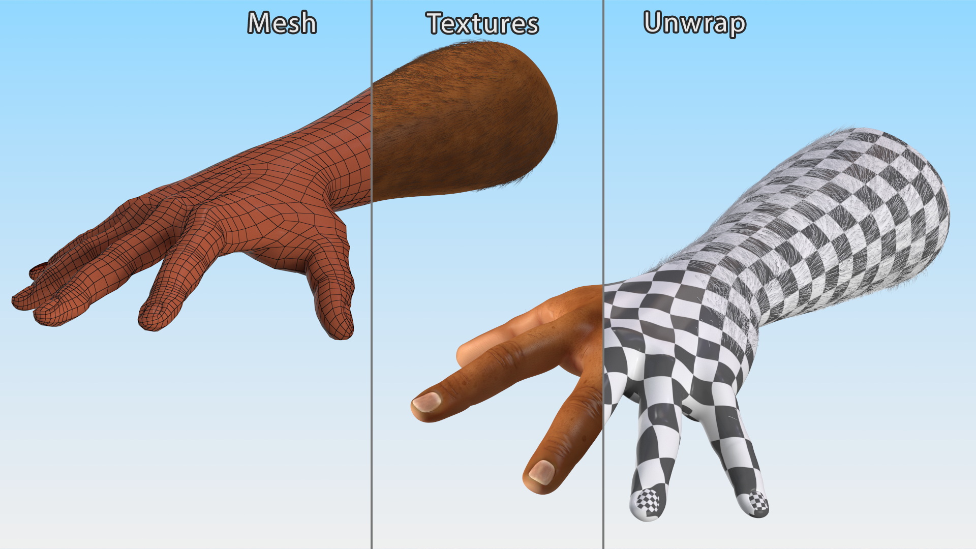 3D Hairy Human Male Hands Fur