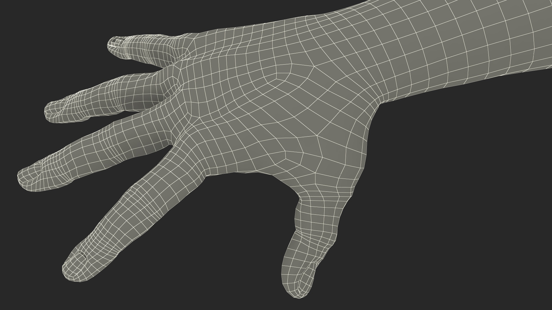 3D Hairy Human Male Hands Fur