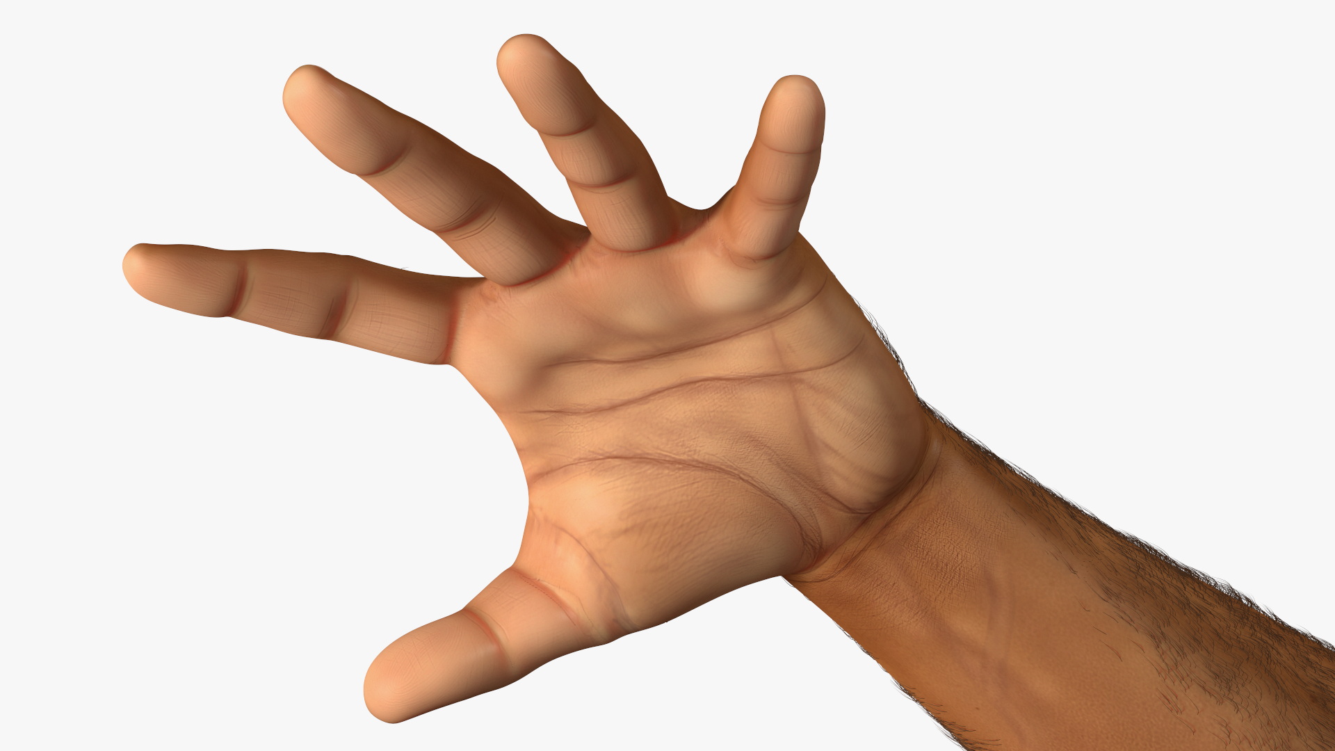 3D Hairy Human Male Hands Fur