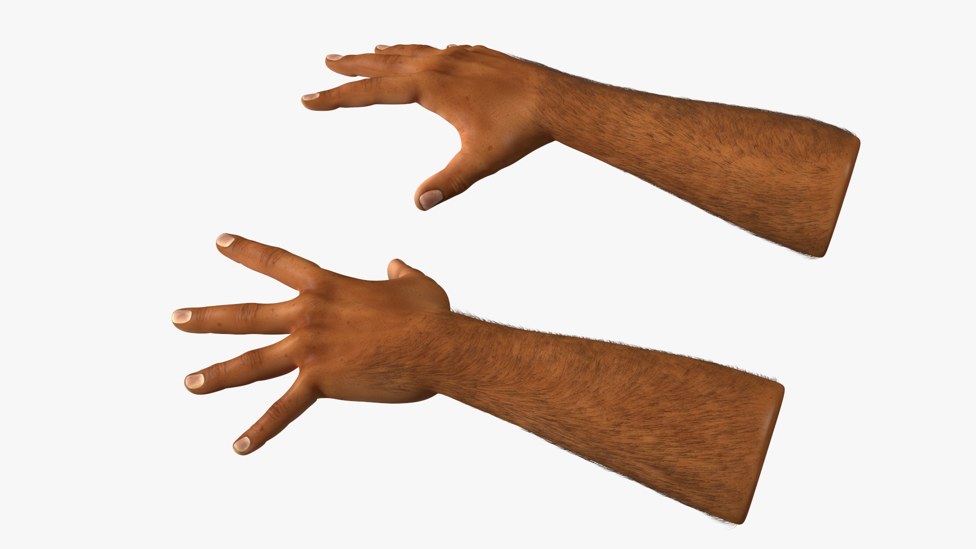 3D Hairy Human Male Hands Fur