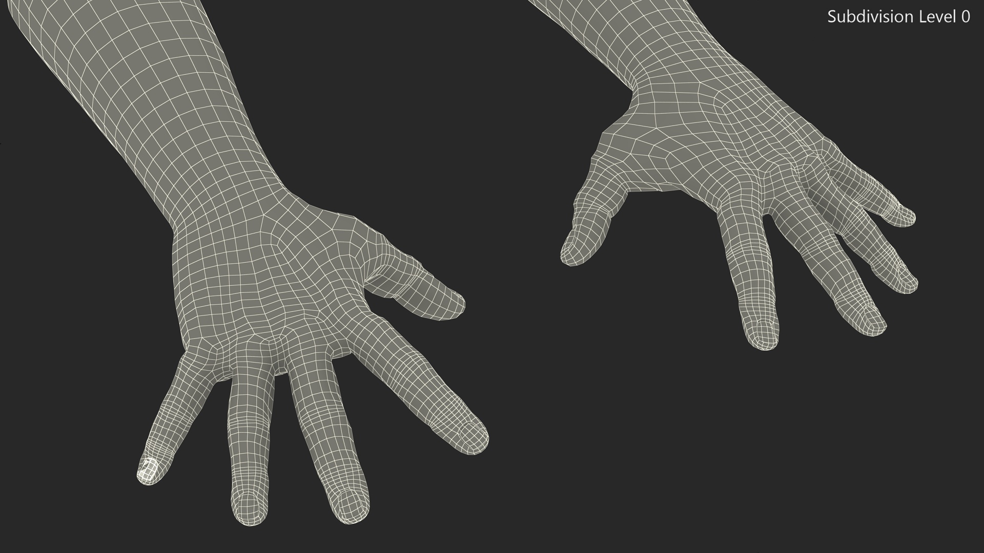 3D Hairy Human Male Hands Fur