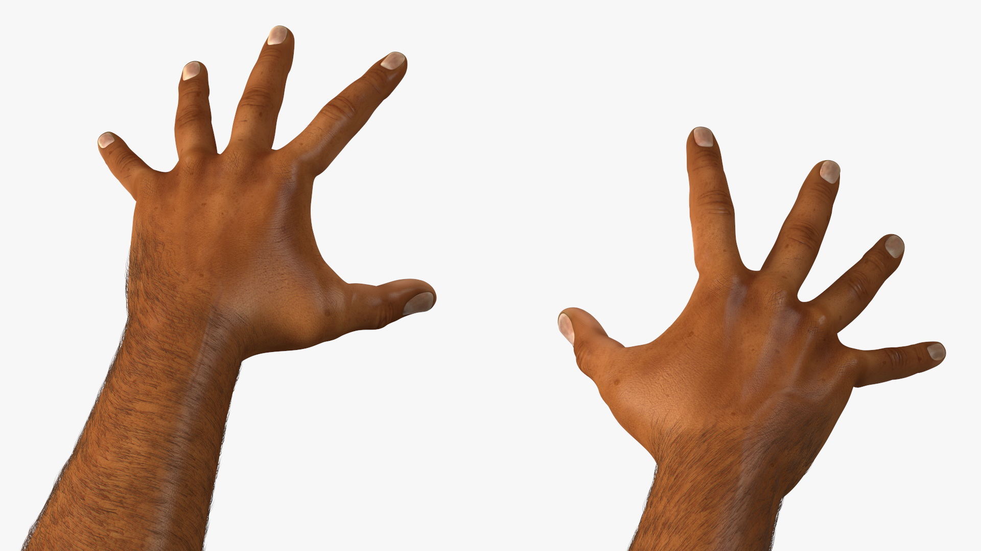 3D Hairy Human Male Hands Fur