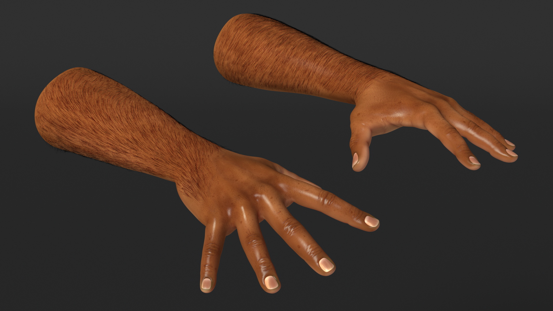 3D Hairy Human Male Hands Fur