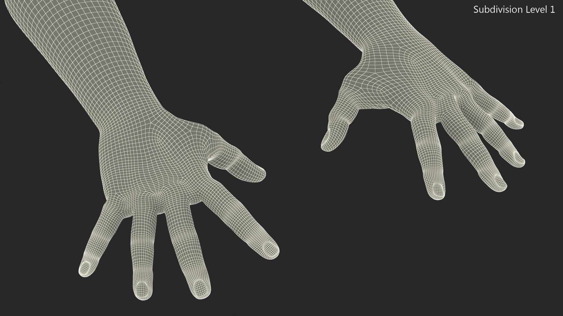 3D Hairy Human Male Hands Fur