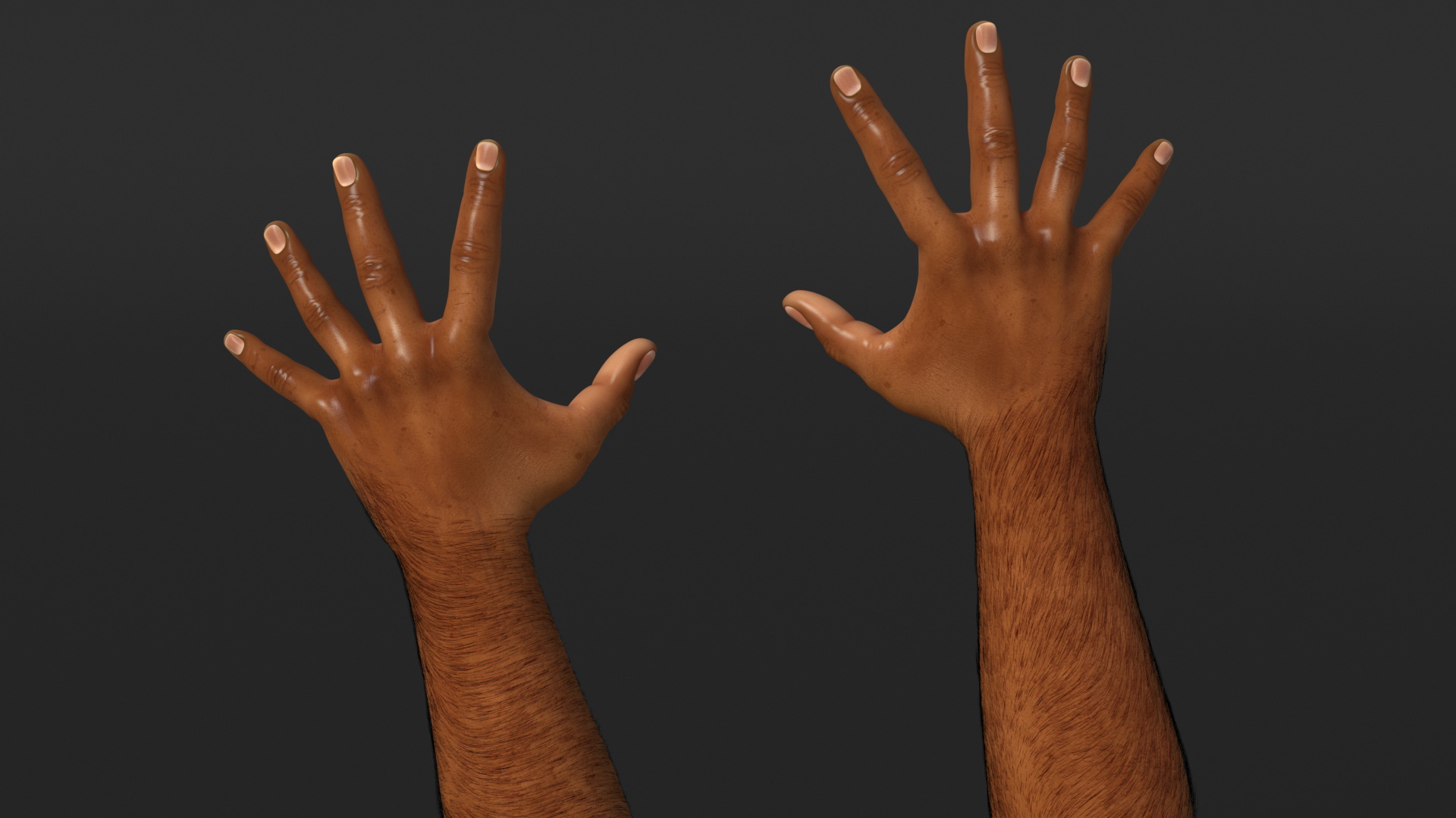 3D Hairy Human Male Hands Fur