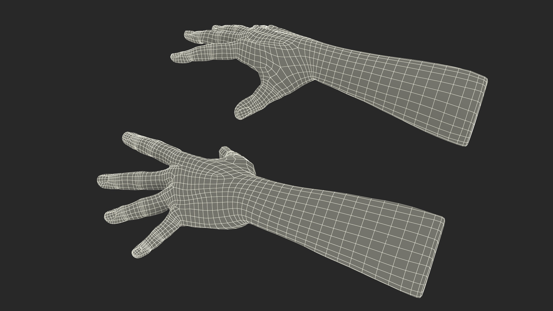 3D Hairy Human Male Hands Fur