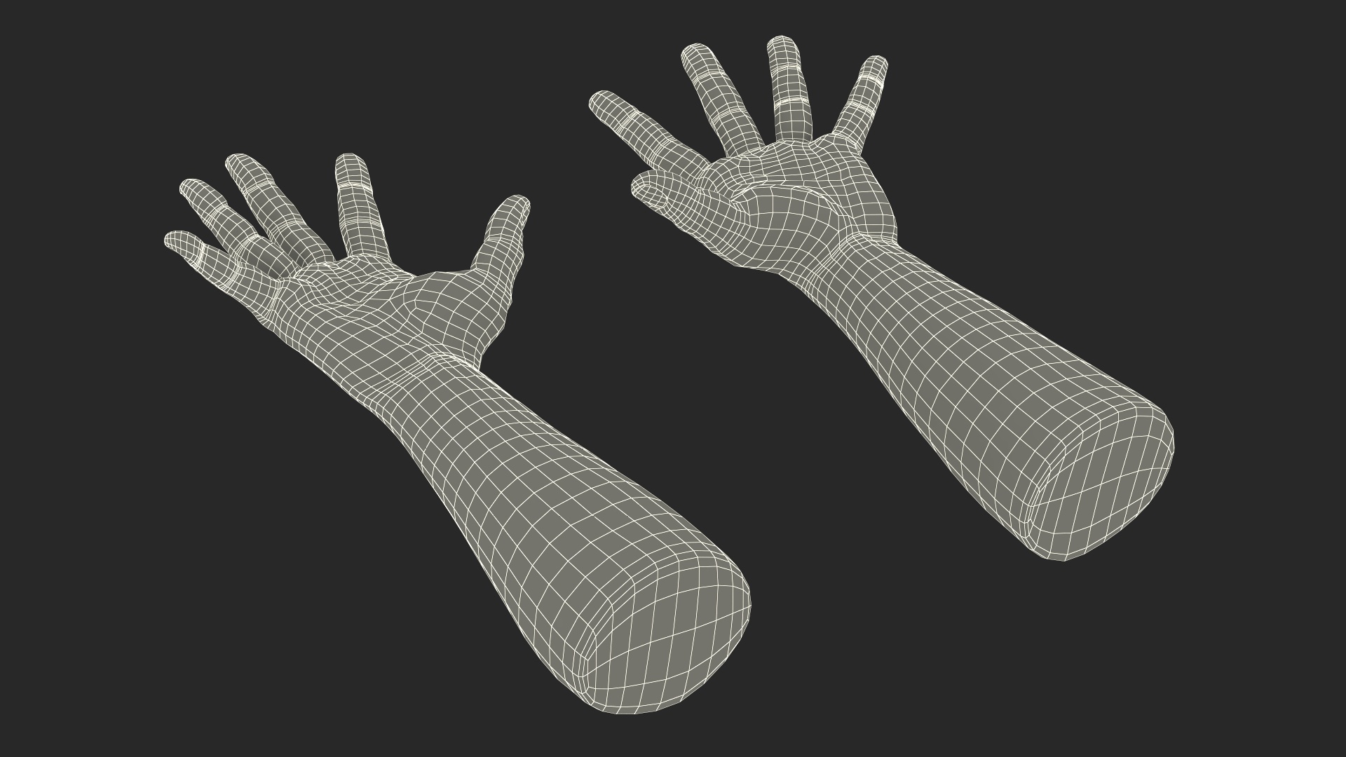 3D Hairy Human Male Hands Fur