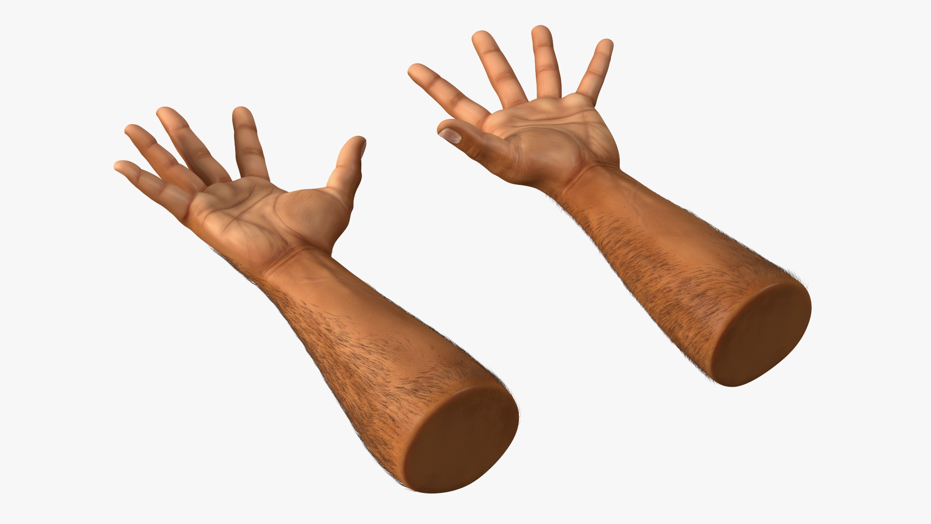 3D Hairy Human Male Hands Fur