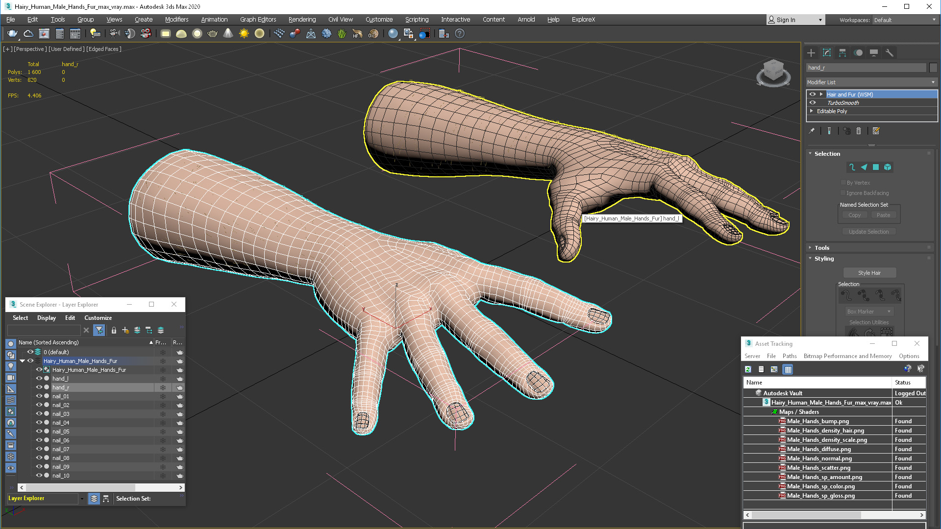 3D Hairy Human Male Hands Fur