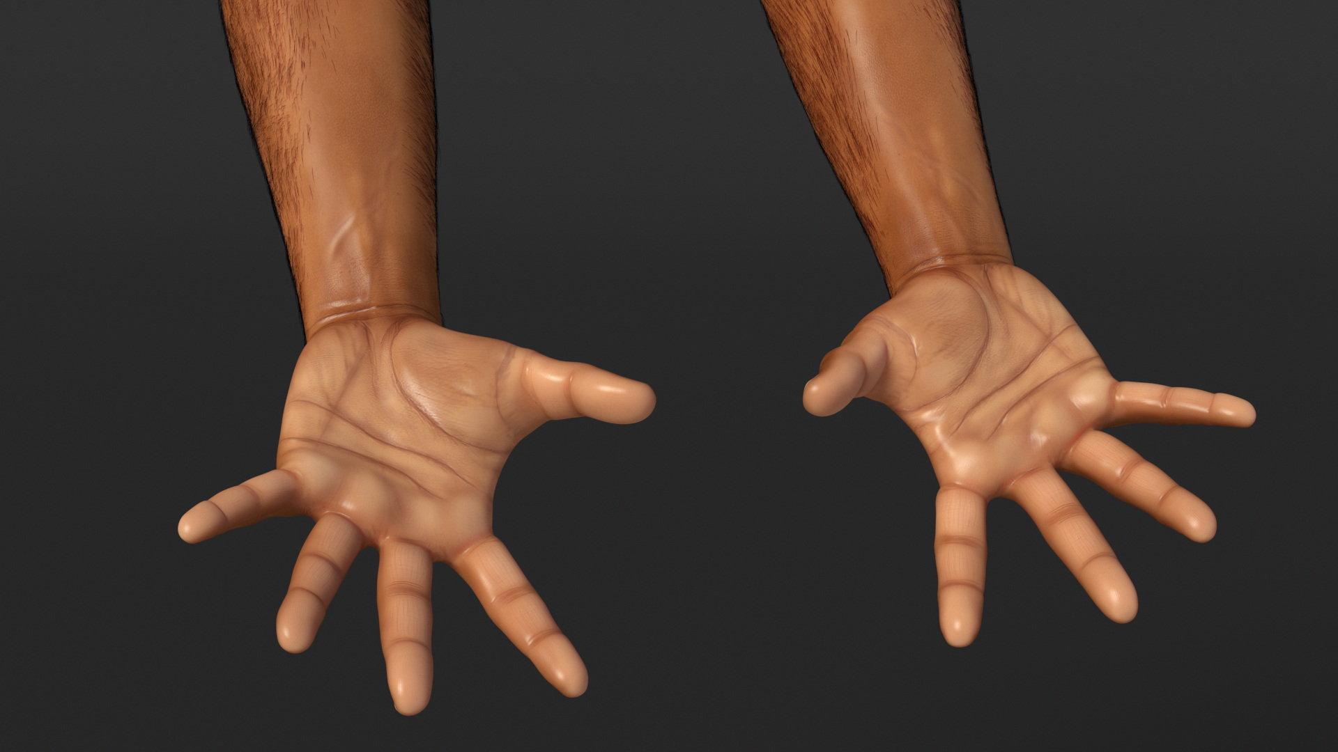 3D Hairy Human Male Hands Fur