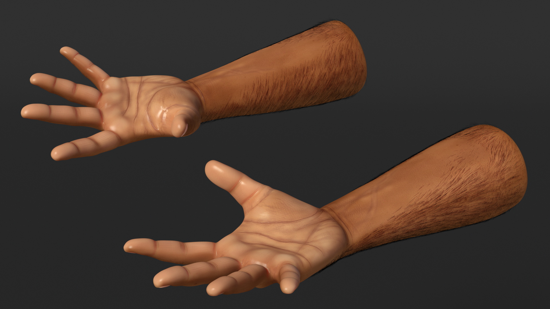 3D Hairy Human Male Hands Fur