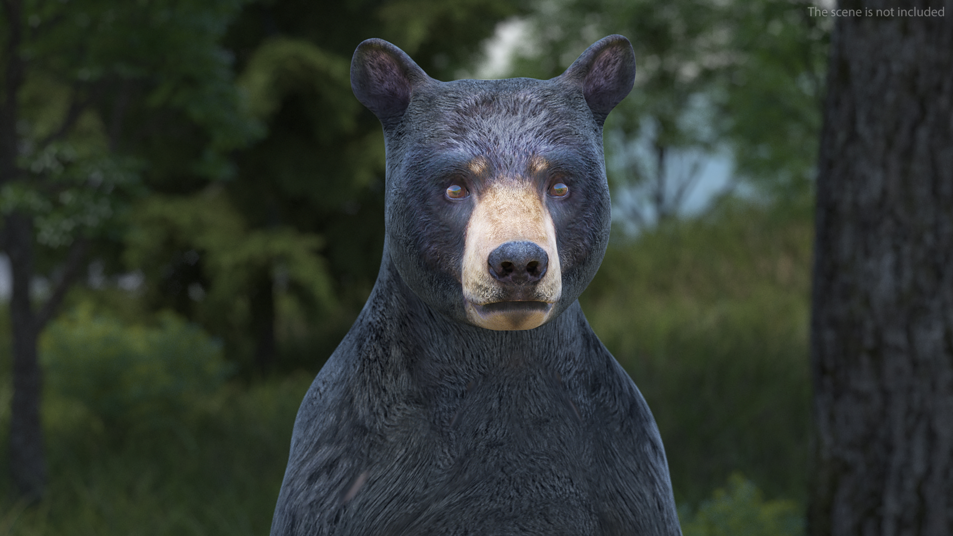 3D model Standing Young Black Bear