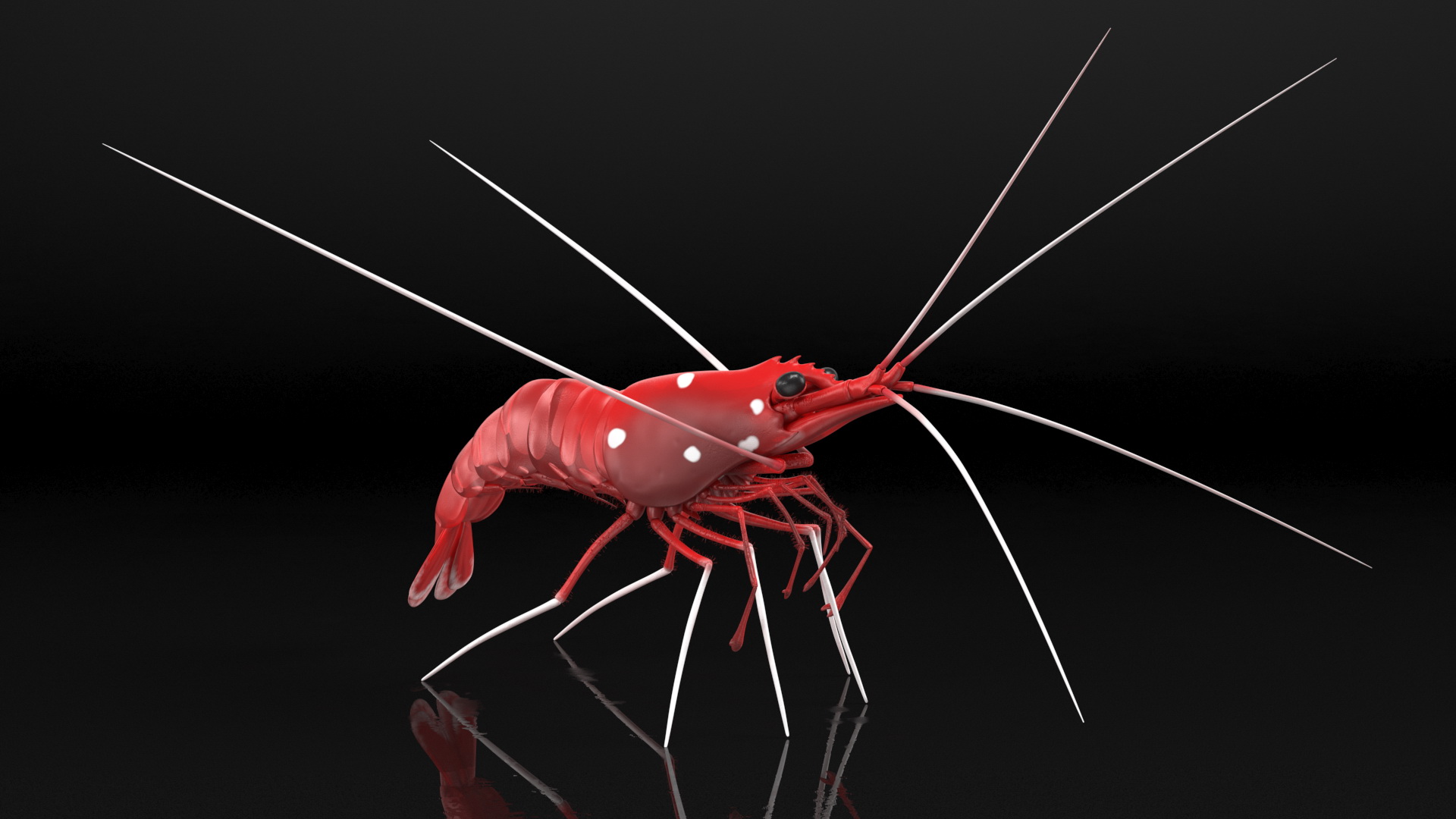 3D Fire Blood Shrimp Rigged Fur model