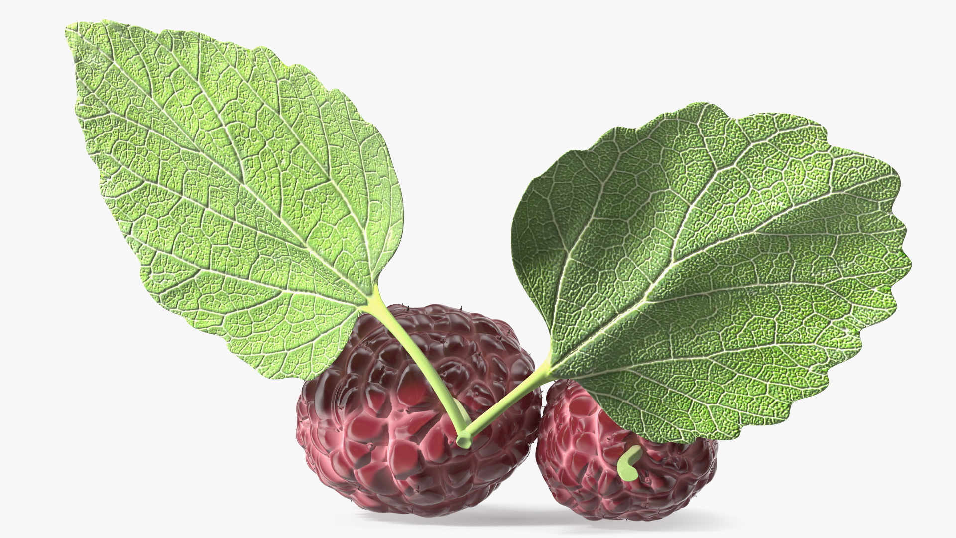 3D Mulberry Fruit Pink with Leaves