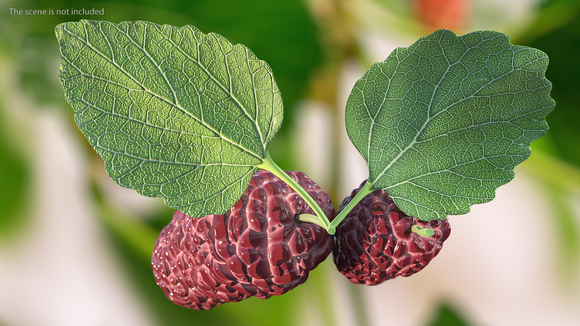 3D Mulberry Fruit Pink with Leaves