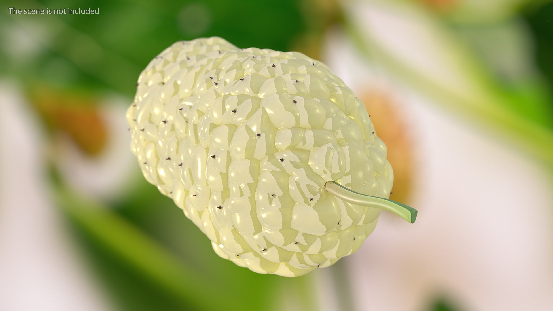 3D model Mulberry Fruit White