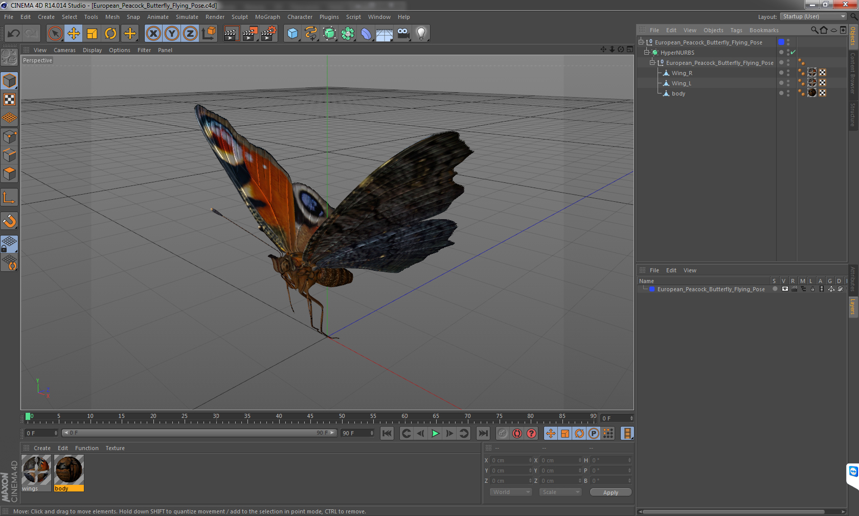 3D European Peacock Butterfly Flying Pose model