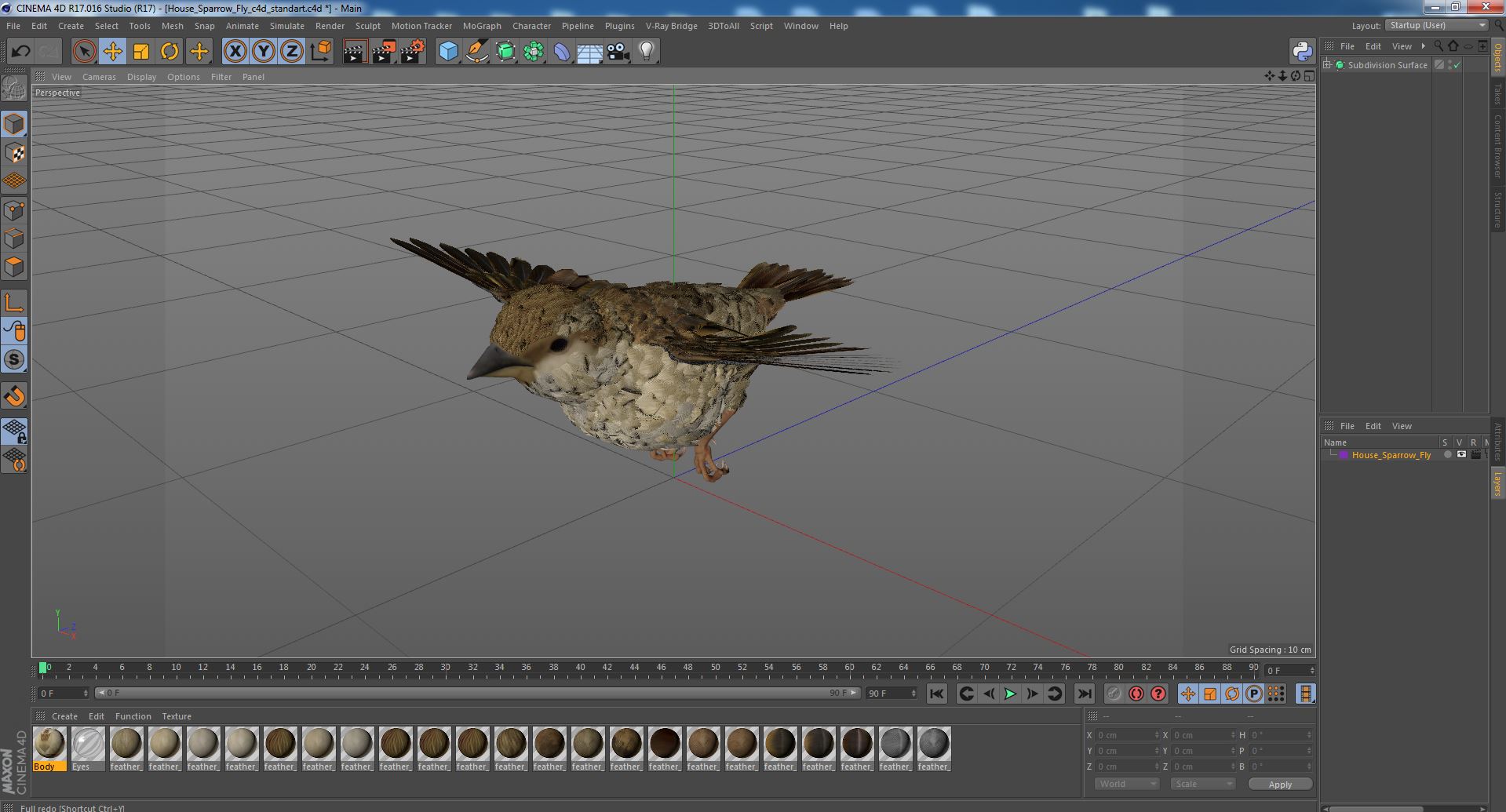 House Sparrow Fly 3D