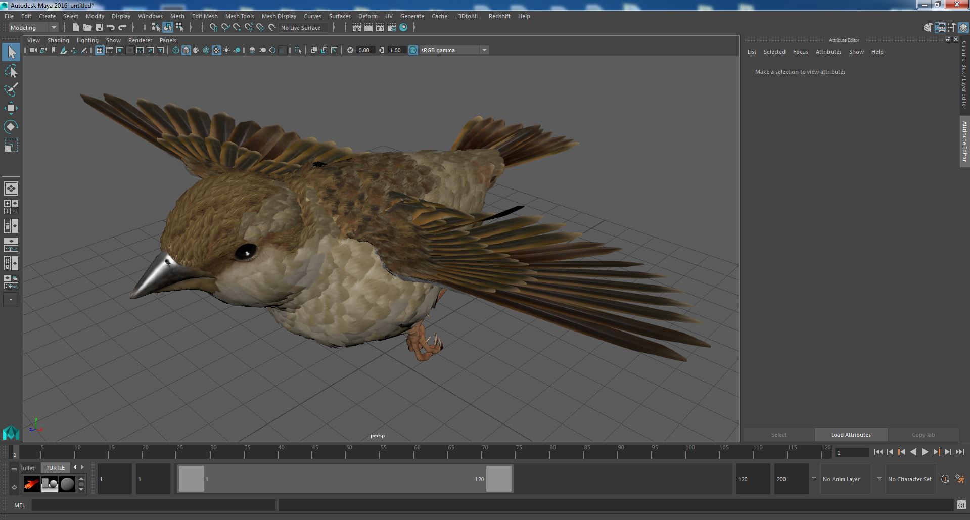 House Sparrow Fly 3D