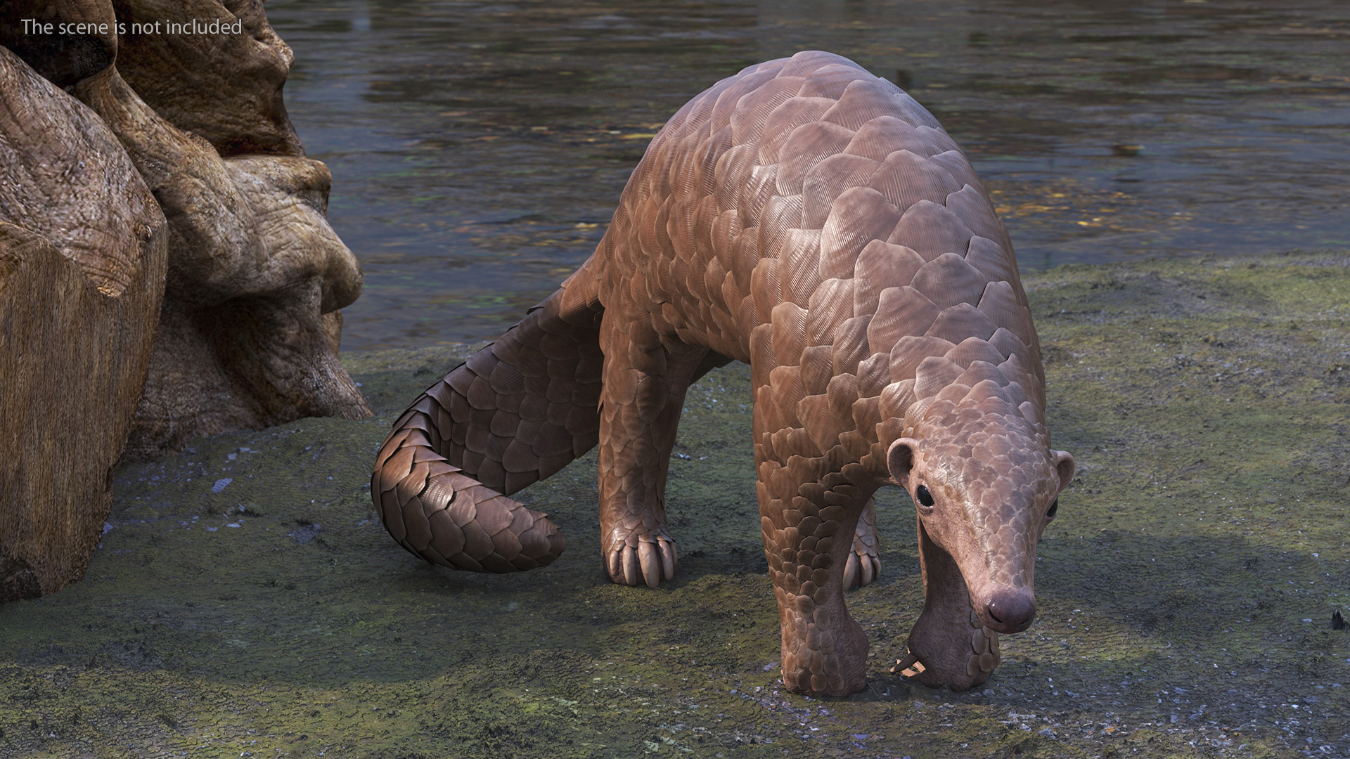 3D Realistic Pangolin model