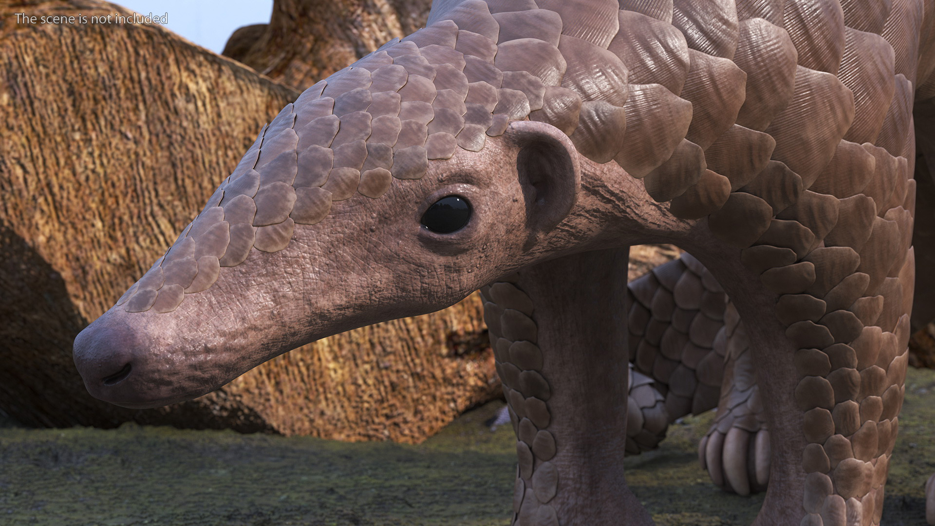 3D Realistic Pangolin model