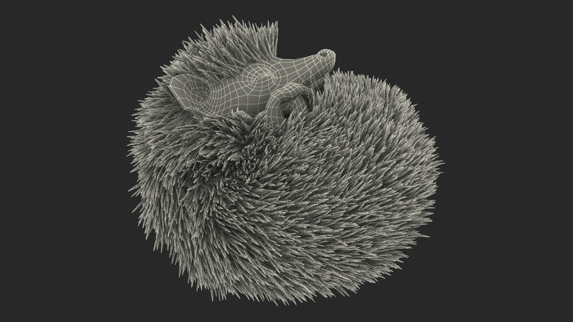 White Sleeping Hedgehog Fur 3D