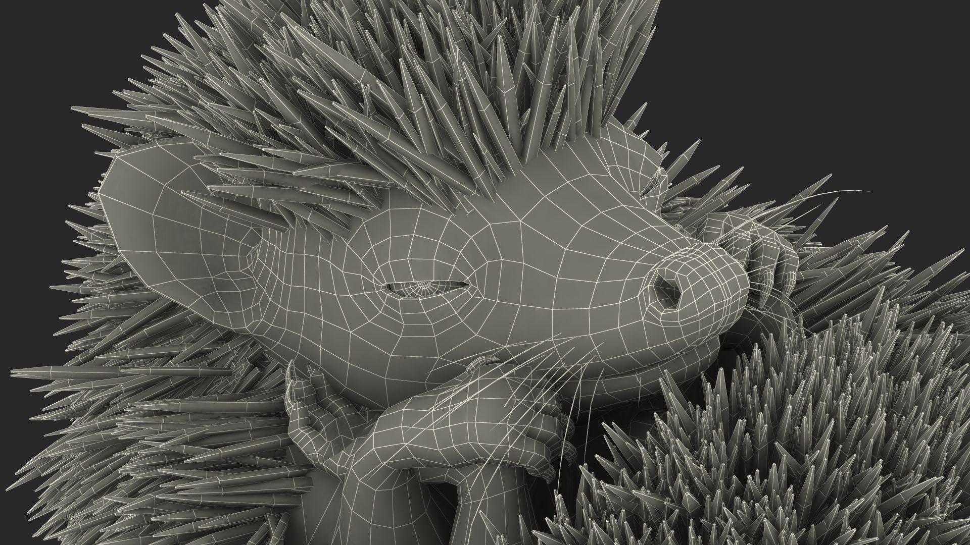 White Sleeping Hedgehog Fur 3D