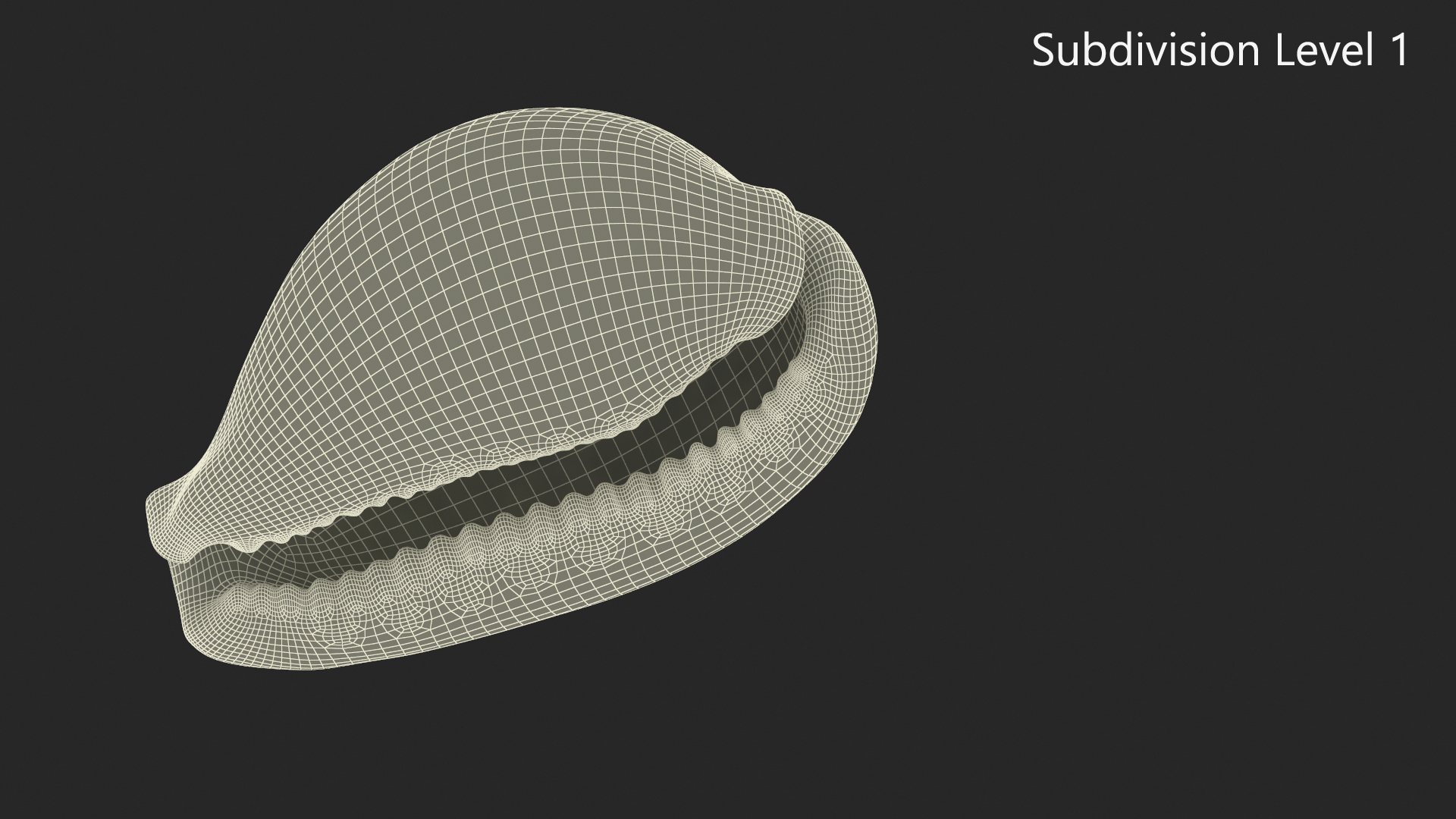 Golden Cowrie Shell 3D model