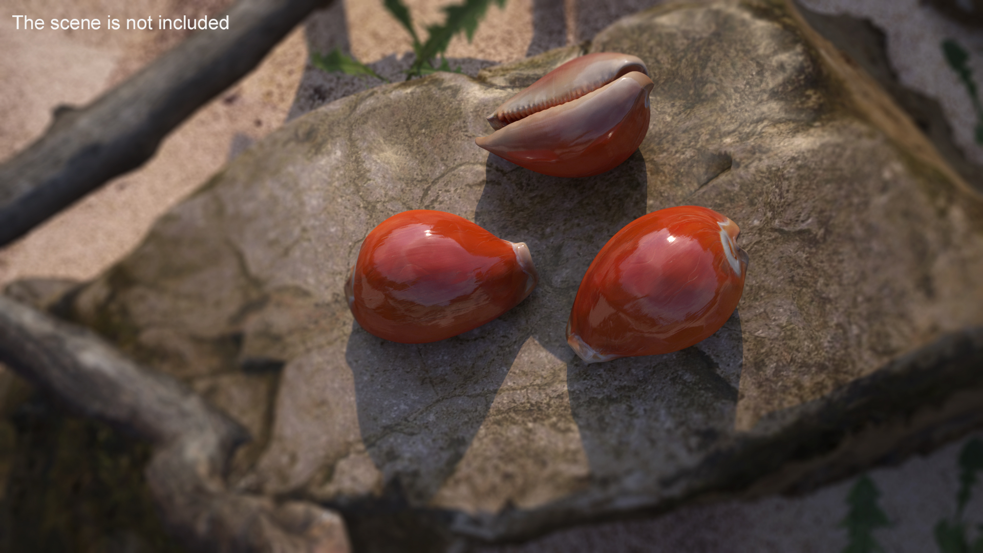 Golden Cowrie Shell 3D model