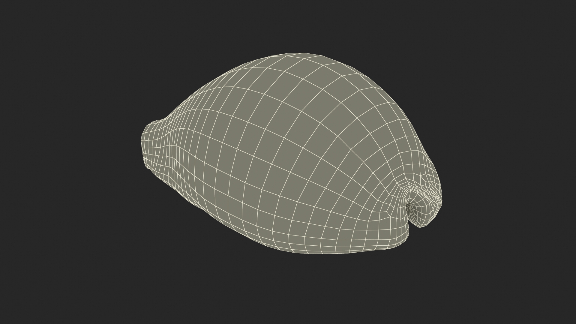 Golden Cowrie Shell 3D model