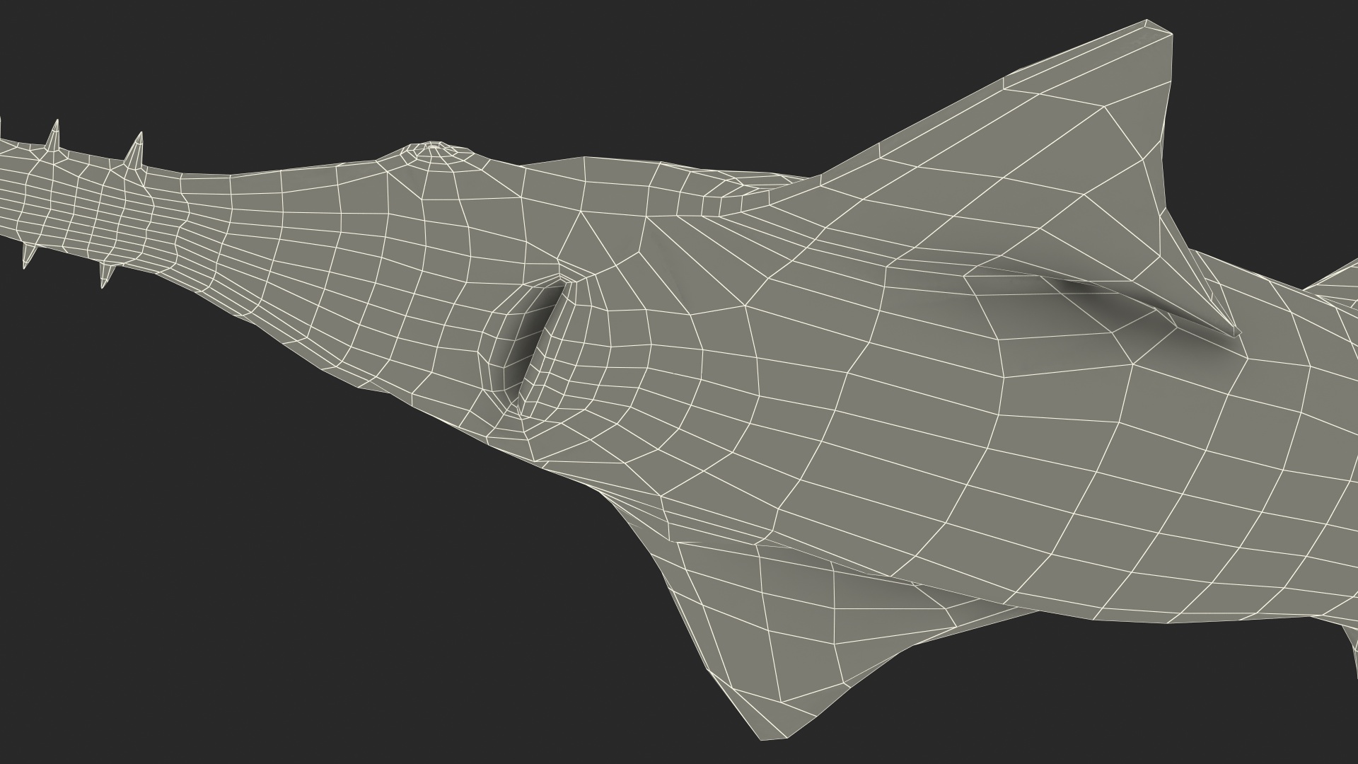 Sawfish 3D model