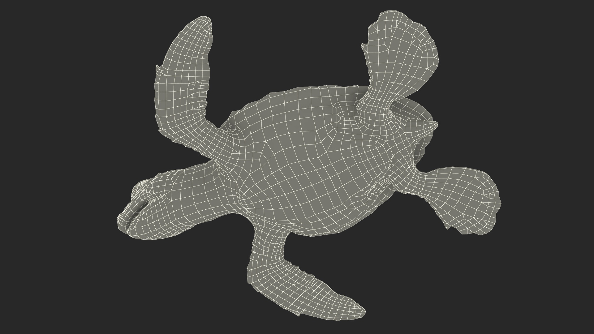 3D Baby Sea Turtle Brown Rigged model