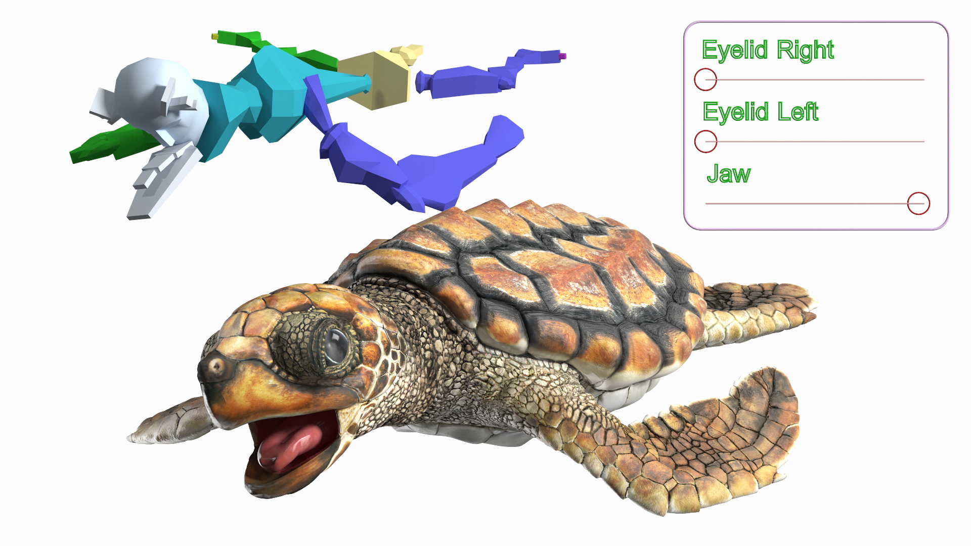 3D Baby Sea Turtle Brown Rigged model