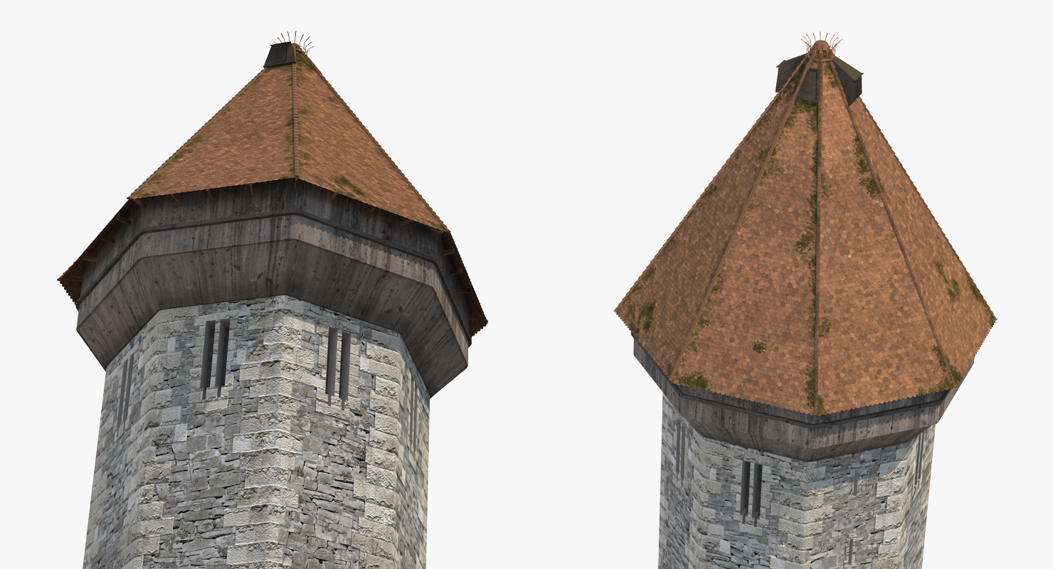 Medieval Tower 3D model