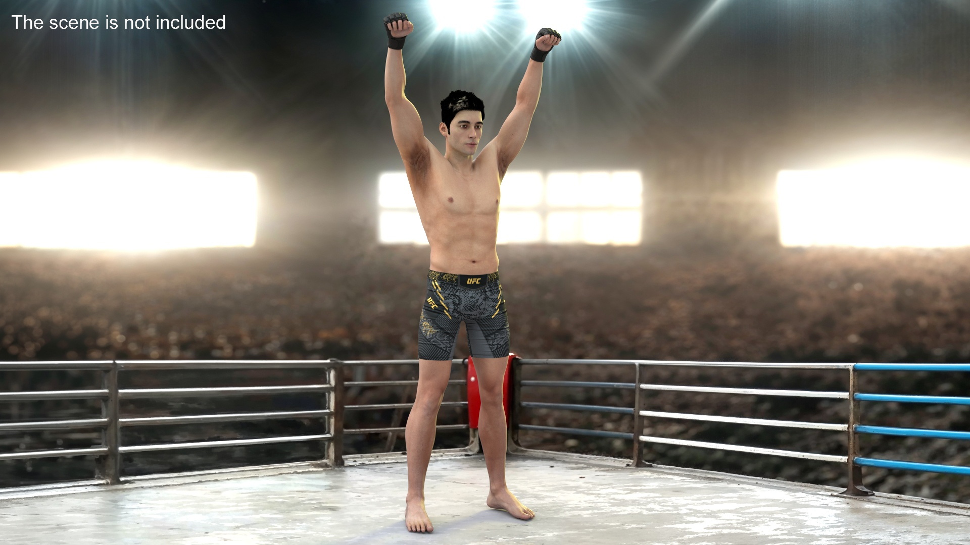 3D model UFC MMA Fighter in Victory Pose Fur