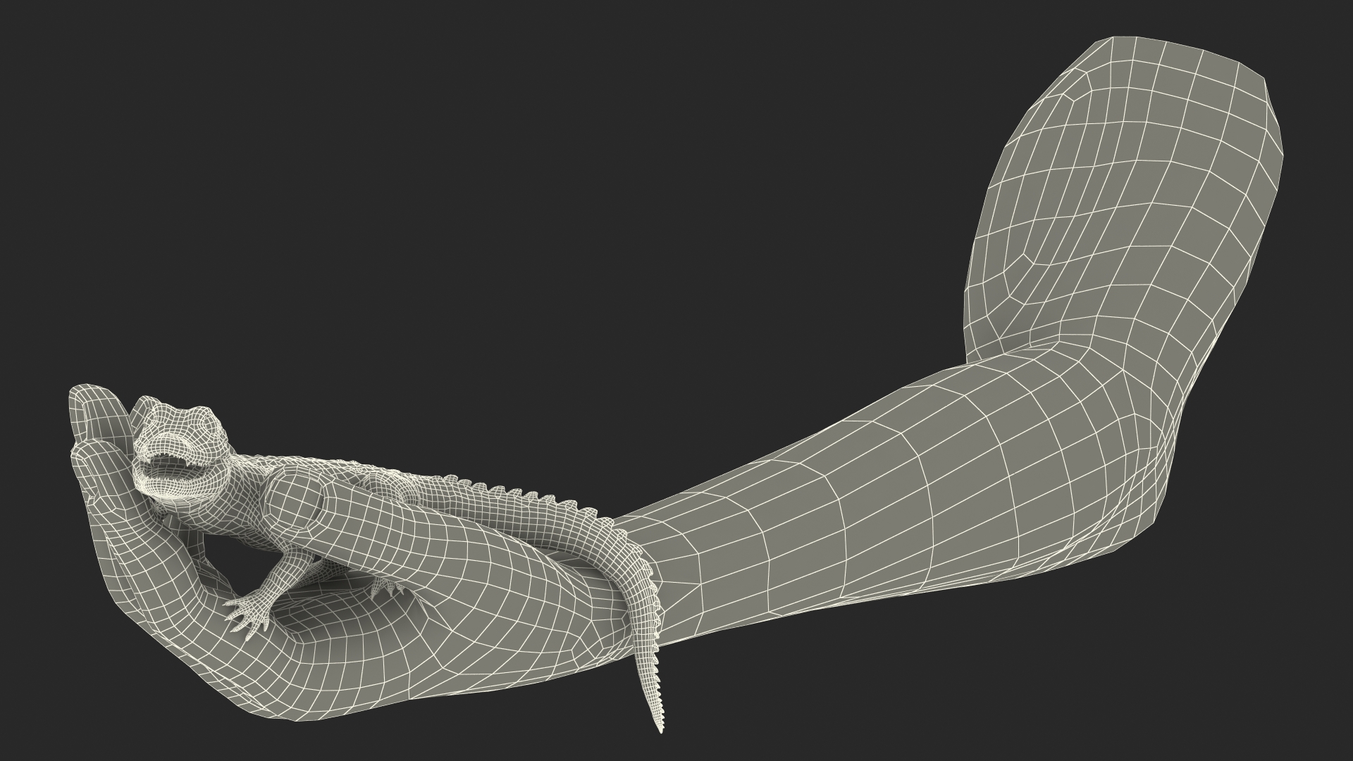 3D Baby Crocodile Man Hand model